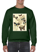 Butterflies In Nature I Sweatshirt -Megan Meagher Designs