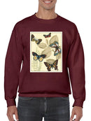 Butterflies In Nature I Sweatshirt -Megan Meagher Designs