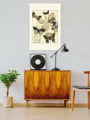 Butterflies In Nature I Wall Art -Megan Meagher Designs