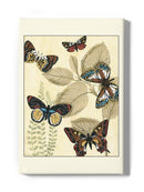 Butterflies In Nature I Wall Art -Megan Meagher Designs