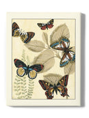 Butterflies In Nature I Wall Art -Megan Meagher Designs