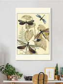 Dragonflies In Nature Ii Wall Art -Megan Meagher Designs