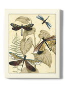 Dragonflies In Nature Ii Wall Art -Megan Meagher Designs