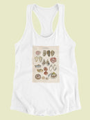 Seashell Sketch I Racerback Tank -Naomi McCavitt Designs