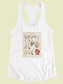 Seashell Sketch Ii Racerback Tank -Naomi McCavitt Designs