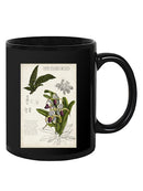Orchid Field Notes I. Mug -Naomi McCavitt Designs