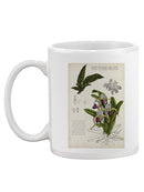 Orchid Field Notes I. Mug -Naomi McCavitt Designs