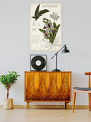 Orchid Field Notes I. Wall Art -Naomi McCavitt Designs