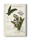 Orchid Field Notes I. Wall Art -Naomi McCavitt Designs