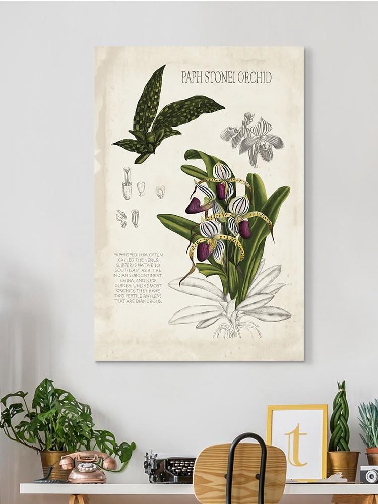 Orchid Field Notes I. Wall Art -Naomi McCavitt Designs