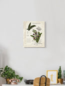 Orchid Field Notes I. Wall Art -Naomi McCavitt Designs