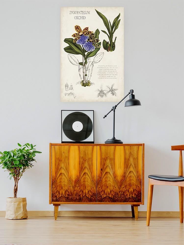 Orchid Field Notes Ii. Wall Art -Naomi McCavitt Designs