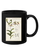 Orchid Field Notes Iii. Mug -Naomi McCavitt Designs