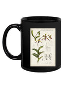 Orchid Field Notes Iii. Mug -Naomi McCavitt Designs
