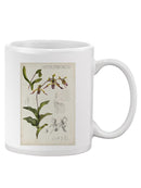 Orchid Field Notes Iii. Mug -Naomi McCavitt Designs