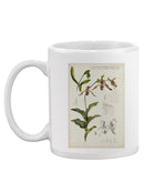 Orchid Field Notes Iii. Mug -Naomi McCavitt Designs