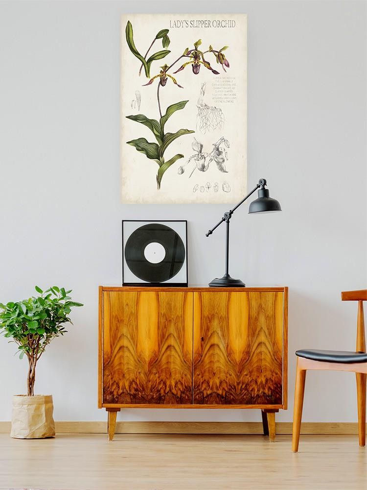 Orchid Field Notes Iii. Wall Art -Naomi McCavitt Designs