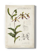 Orchid Field Notes Iii. Wall Art -Naomi McCavitt Designs