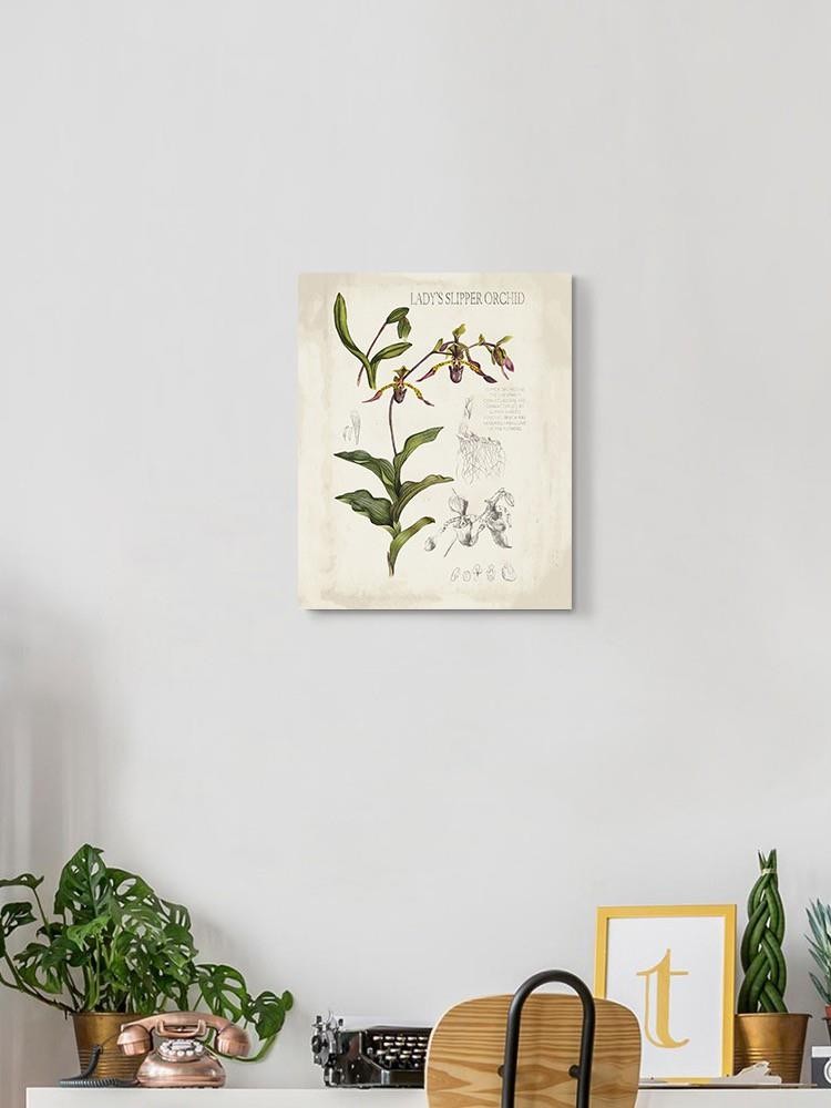 Orchid Field Notes Iii. Wall Art -Naomi McCavitt Designs