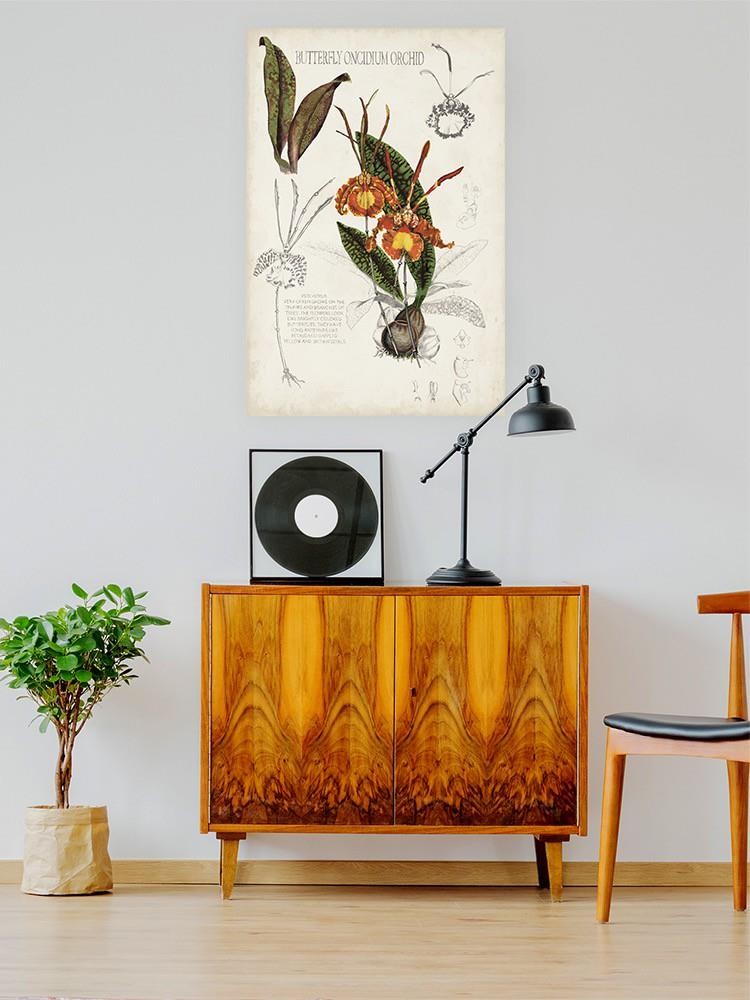 Orchid Field Notes Iv. Wall Art -Naomi McCavitt Designs