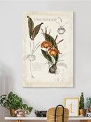 Orchid Field Notes Iv. Wall Art -Naomi McCavitt Designs