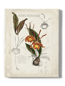 Orchid Field Notes Iv. Wall Art -Naomi McCavitt Designs