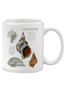 Seashell Field Notes I Mug -Naomi McCavitt Designs