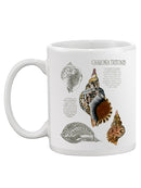 Seashell Field Notes I Mug -Naomi McCavitt Designs