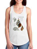 Seashell Field Notes I T-shirt -Naomi McCavitt Designs