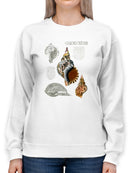 Seashell Field Notes I Sweatshirt -Naomi McCavitt Designs
