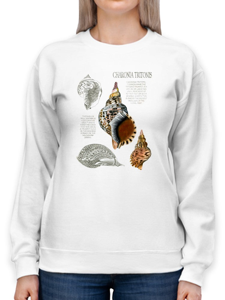 Seashell Field Notes I Sweatshirt -Naomi McCavitt Designs