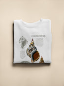 Seashell Field Notes I Sweatshirt -Naomi McCavitt Designs