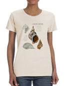 Seashell Field Notes I T-shirt -Naomi McCavitt Designs