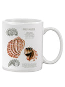 Seashell Field Notes Ii Mug -Naomi McCavitt Designs