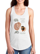 Seashell Field Notes Ii T-shirt -Naomi McCavitt Designs