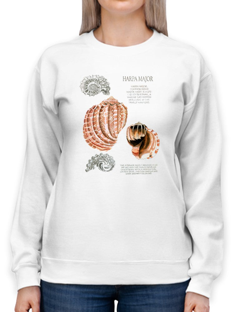 Seashell Field Notes Ii Sweatshirt -Naomi McCavitt Designs