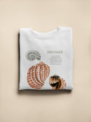 Seashell Field Notes Ii Sweatshirt -Naomi McCavitt Designs