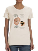 Seashell Field Notes Ii T-shirt -Naomi McCavitt Designs