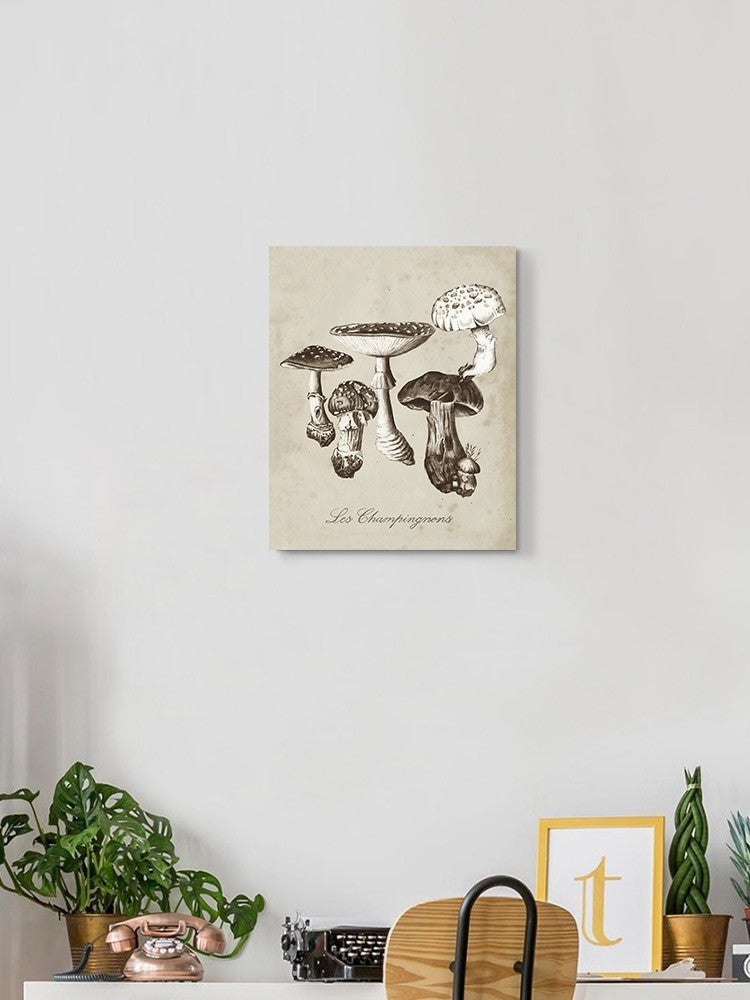 Les Champignons I Wall Art -Naomi McCavitt Designs