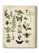 Drawings Of The Forest Wall Art -Naomi McCavitt Designs