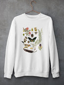 Drawings From The Forest Sweatshirt -Naomi McCavitt Designs