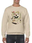 Drawings From The Forest Sweatshirt -Naomi McCavitt Designs