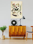 Drawings From The Forest Wall Art -Naomi McCavitt Designs