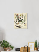 Drawings From The Forest Wall Art -Naomi McCavitt Designs