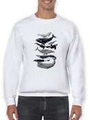 Whale Displa. I Sweatshirt -Naomi McCavitt Designs