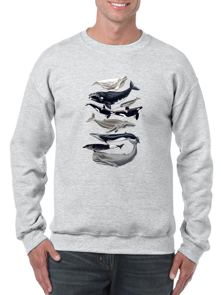 Whale Displa. I Sweatshirt -Naomi McCavitt Designs