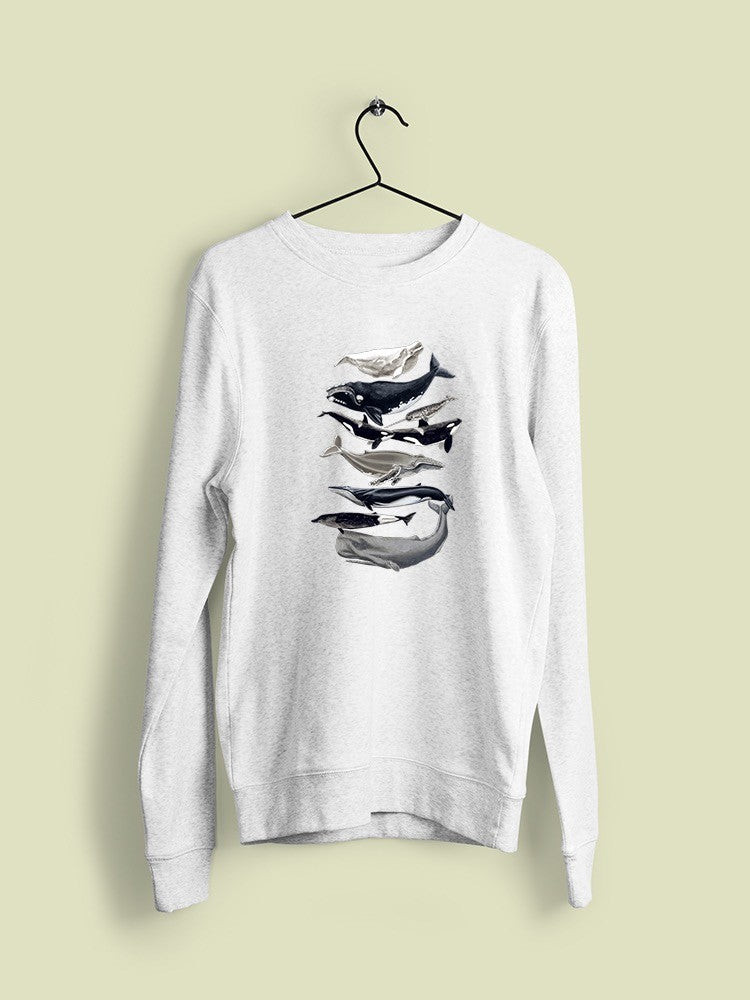 Whale Displa. I Sweatshirt -Naomi McCavitt Designs
