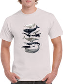 Whale Displa. I T-shirt -Naomi McCavitt Designs