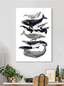 Whale Displa. I Wall Art -Naomi McCavitt Designs