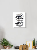 Whale Displa. I Wall Art -Naomi McCavitt Designs